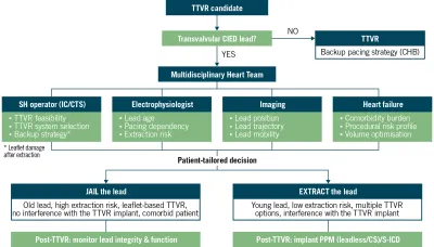 Innovation in transcatheter tricuspid valve replacement: the Topaz system in the presence of pacemaker leads